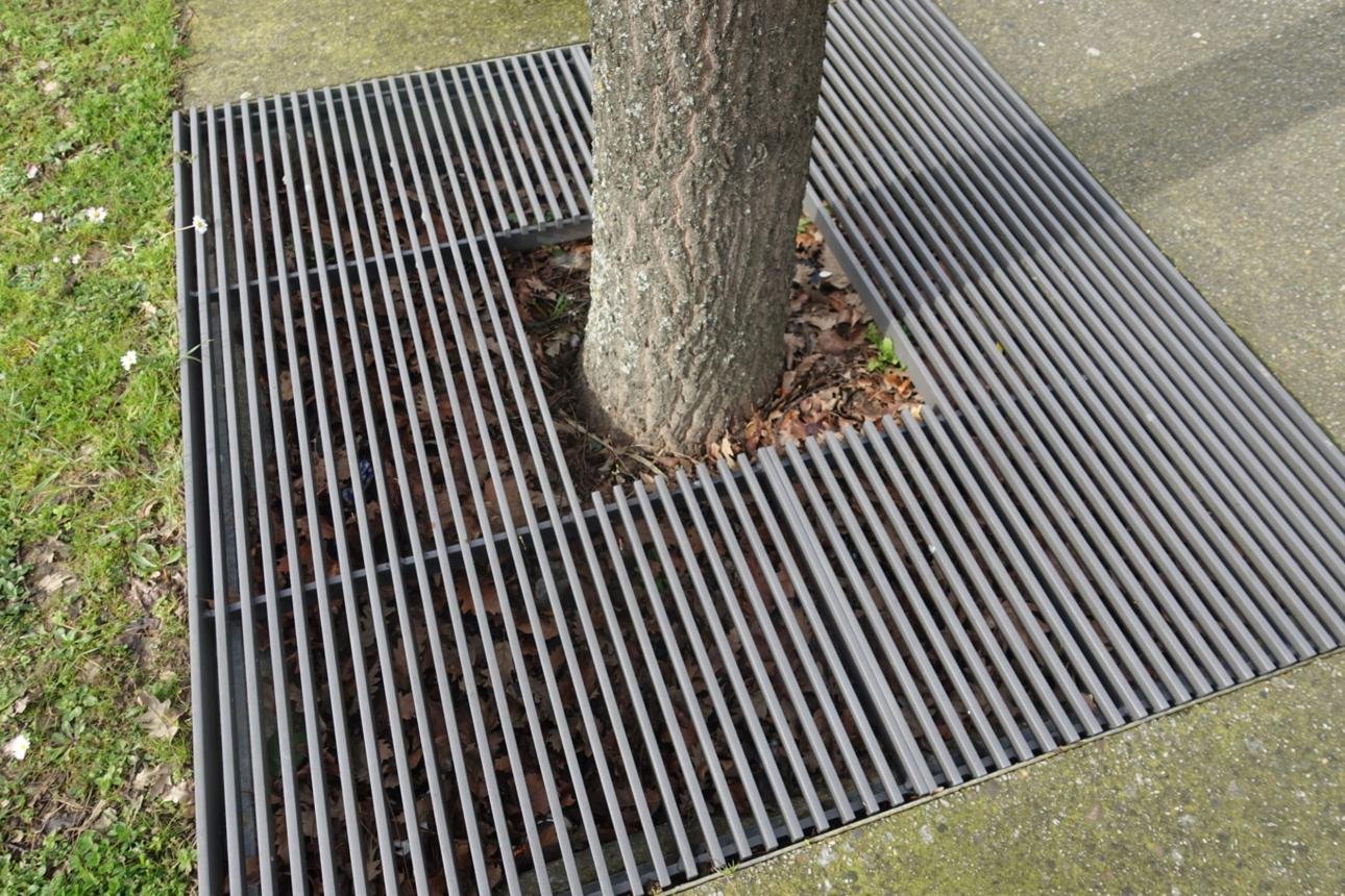 grille arbre espace public