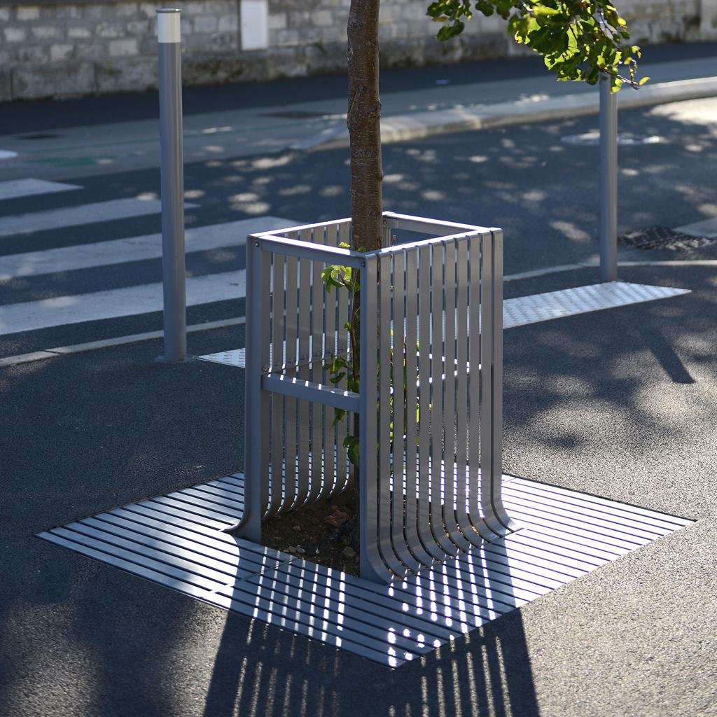 protection arbre urbaine