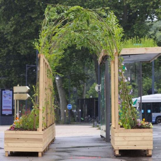 abris végétalisés toitures vertes